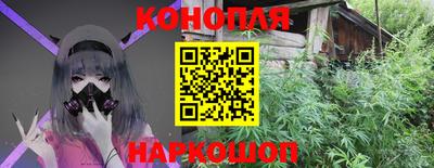 СК Коломна