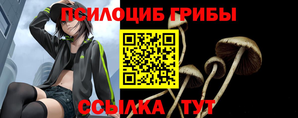 Галлюциногенные грибы GOLDEN TEACHER Лосино-Петровский